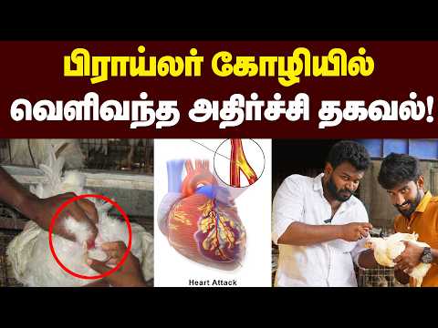 சிக்கன் சமைக்கும் போது எல்லாரும் பண்ற தப்பு இது தான்😱😱| சாப்பிட்டால் Hospital போறது உறுதி .