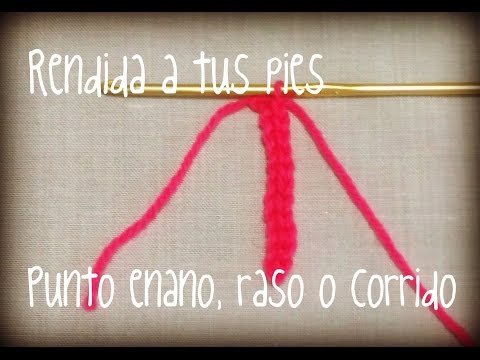 Crochet: Puntos básicos. N°2