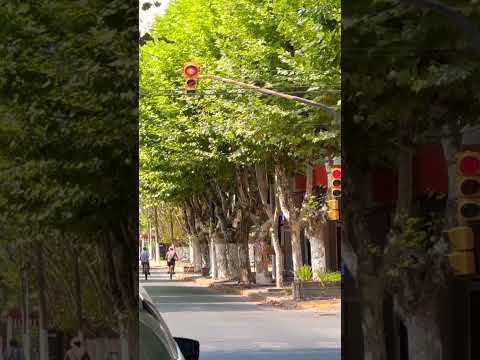 Calle principal de la ciudad de #marcospaz en la provincia de #buenosaires #shorts #travel #cities