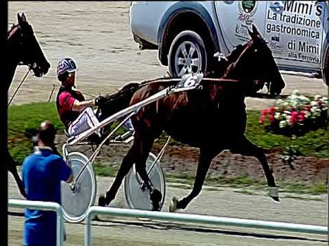 Trotto 21/06/2018 - 2ª corsa