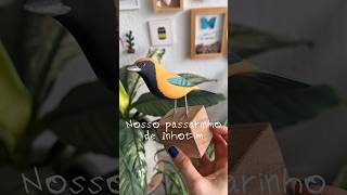 #Shorts UM ENFEITE DE INHOTIM