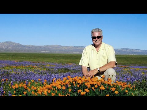 Road Trip   EP45   San Juan Capistrano
