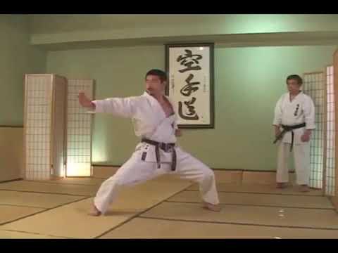 Tekki Nidan BUNKAI   APLICAÇÃO Kanazawa