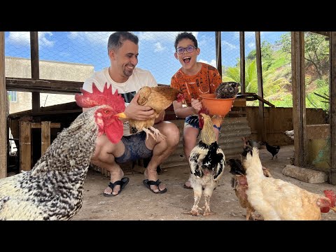 AS GALINHAS DA CASA DA VOVÓ! Vlog
