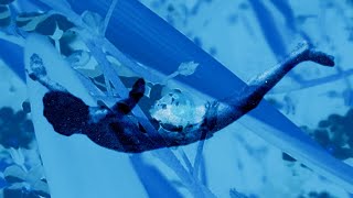 Leave Yourself Alone - Catch Somebody [VISUALIZER]