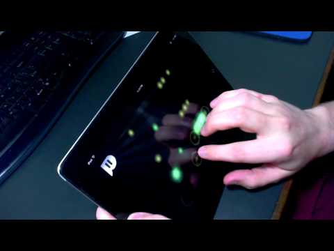 Dope Zebra on Magic Piano