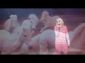 Ariel Pink Fight Night