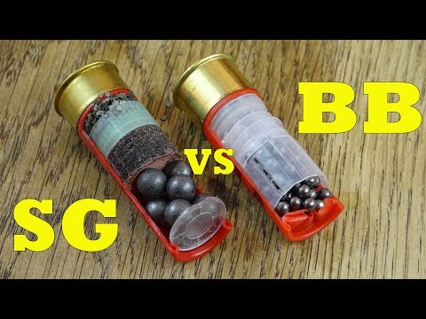 SG vs BB Shotgun Cartridges