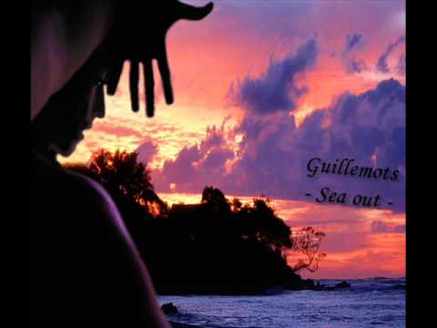 Guillemots - Sea Out