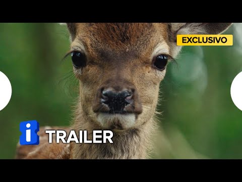 Bambi – Uma Aventura Na Floresta - Trailer