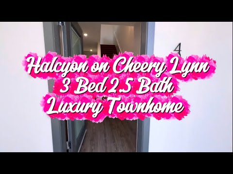 Elevated Luxury in Prestigious Encanto Neighborhood - Video 1 of 1