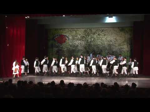 Ansamblul Folcloric Romanasul - Dans din Berches