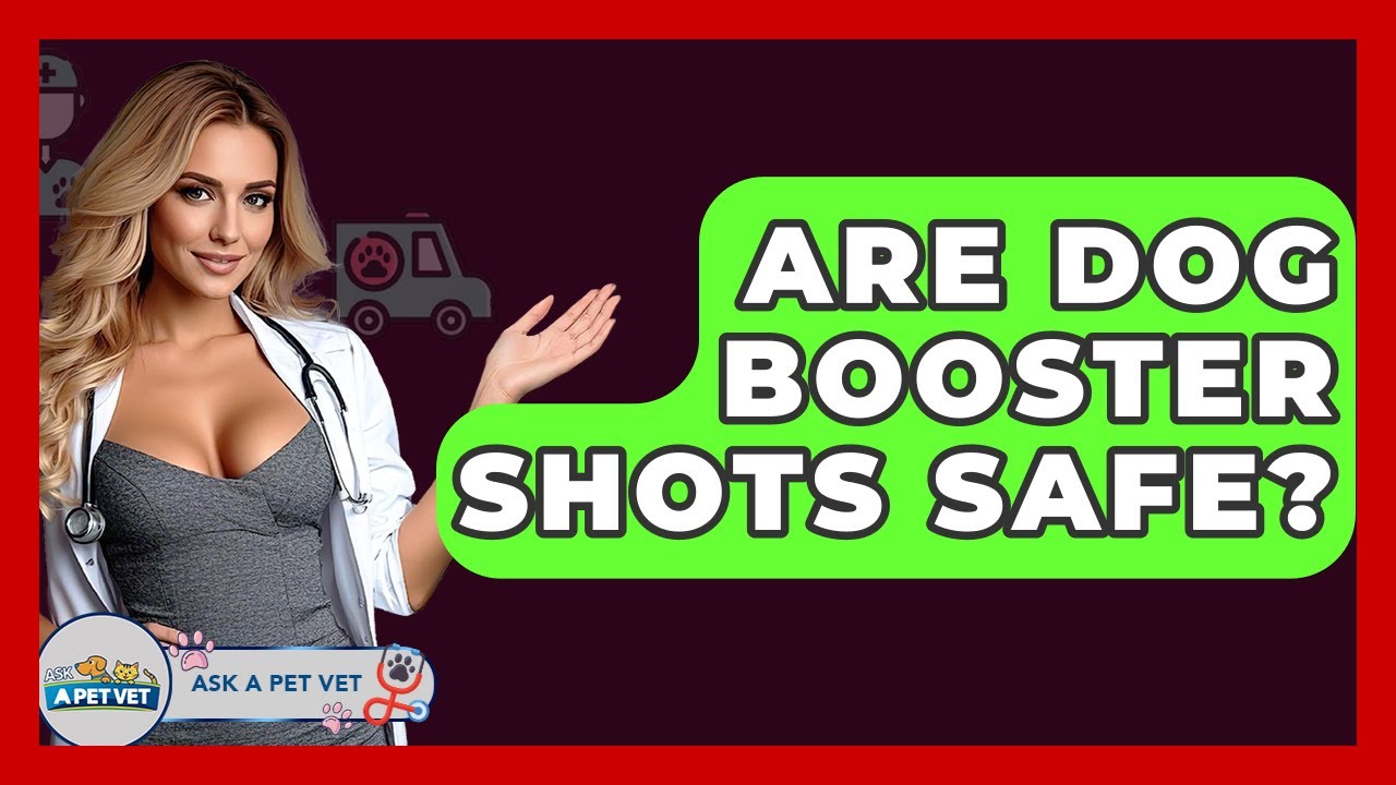 Are Dog Booster Shots Safe? - Ask A Pet Vet