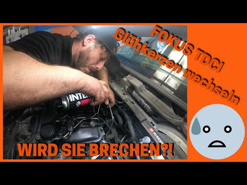 Ford Focus 1.6 TDCI - Glühkerzenwechsel am PSA MOTOR | Wird der Rekord gehalten oder..? Fehler P0380