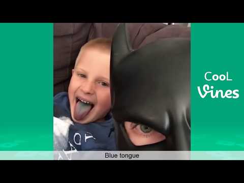 BatDad Vine compilation 😂 Funny Bat Dad Vines & Instagram Videos