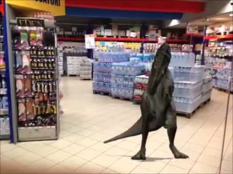 Incredibile Avvistamento al Centro Commerciale Tremestieri