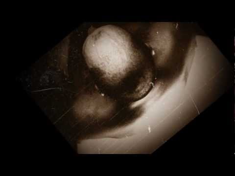 Eren Kazım Akay - Amirim