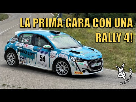 LA MIA PRIMA GARA CON UN AUTO DA MONDIALE - 5° Rally Salsomaggiore terme Peugeot 208 Rally4