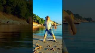 Download lagu 💃🐒Monkesh Boss in full Bollywood mode - 'Meri Shaadi Karwao, Meri Shaadi Kararao' Shaadi ka josh,🔥💯 mp3