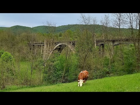 Știați de viaductul acesta spectaculos de la Șinca Nouă, jud. Brașov?
