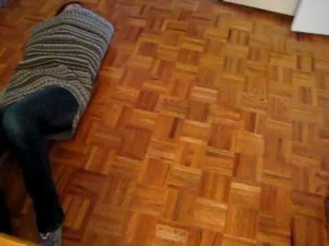 download lagu mp3 mp4 Sushi Monster Wainwright, download lagu Sushi Monster Wainwright gratis, unduh video klip Sushi Monster Wainwright