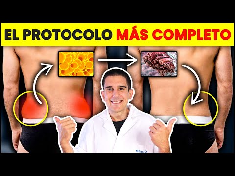 💡DESCUBRE cómo Eliminar RÁPIDO la *GRASA REBELDE ABDOMINAL* entendiendo su funcionamiento (7 PASOS)
