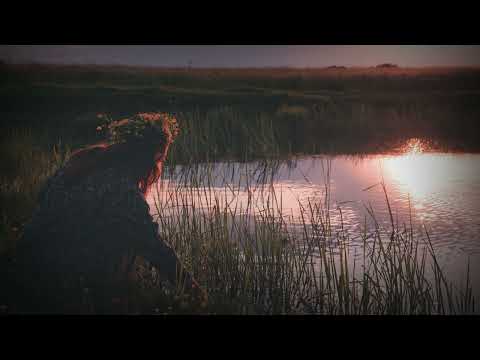 Kohta Imafuku & SounEmot - Para ti (Sounds Of The Stars Recordings)