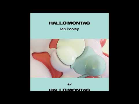 Ian Pooley - Puzzled