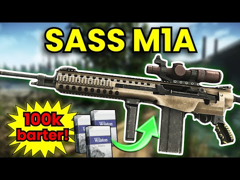 The Lowest Recoil Late Game DMR! Meta & Budget Builds