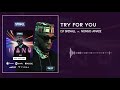 DJ Spinall Try For You Ft Nonso Amadi Audio