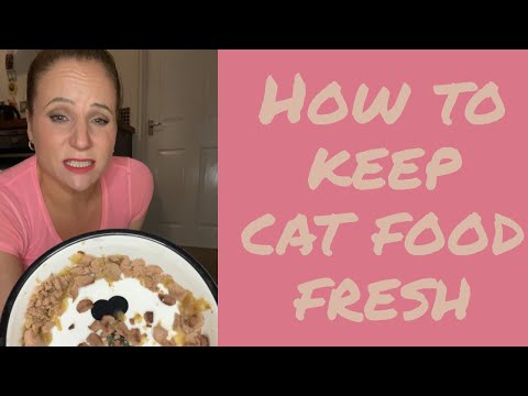 How to keep wet cat food fresh ~ top tip you won’t be able to live without