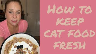 How to keep wet cat food fresh ~ top tip you won’t be able to live without