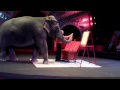 Elephant Painting At The Greatest Show On Earth