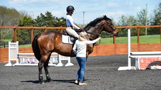 I Am US Equestrian: You Don't Need Your Own Horse