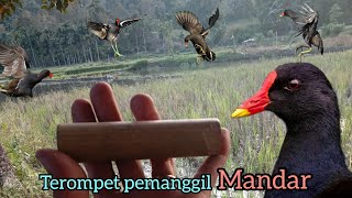 Download lagu flute MANDAR stone / PERUK / BENTIUNG from bamboo, #sapung tiung #piuh #dekut mp3