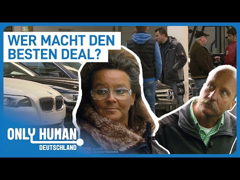 Schnäppchenjäger aufgepasst! Günstige Autos bei Zwangsversteigerungen