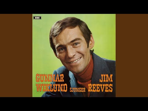 Det finns ingen annan