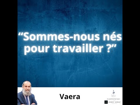 Sommes nous nés pour travailler ?