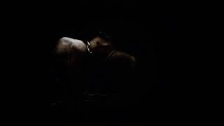 Music video thumbnail preview for Handful Of Hate - Vicecrowned Order (Dobermann) by Handful of Hate