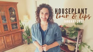 New Year New Growth New Plants | Houseplant Tour