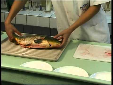 Kapr bez kostí, dokonalé filetování na www.rybicka.cz