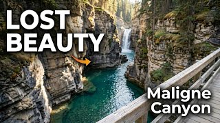 This Is Why Everyone Hikes Maligne Canyon In Jasper | Maligne Canyon before Wildfire