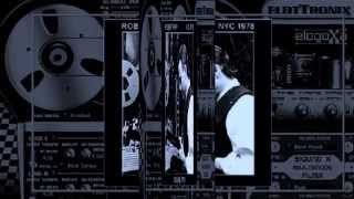 Robert  Fripp - The Zero Of The Signified