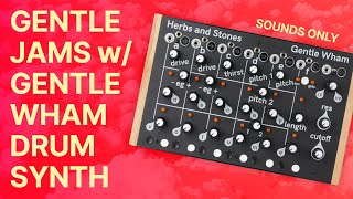 Video thumbnail for Herbs & Stones Gentle Wham : Analog Drum-Drone-Synthesizer (Synth Sounds ONLY) by Perfect Circuit