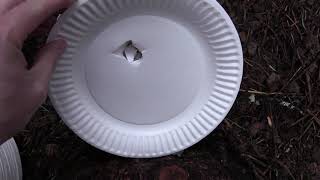 9mm Blazer 147gr Hollow Point vs 300 Paper Plates