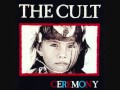 If - The Cult