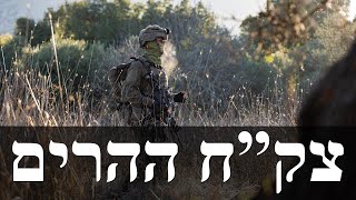 המלחמה בישראל | היום ה-425 (לאומנות - ישראל, המזרח התיכון והעולם) - התמונה מוצגת ישירות מתוך אתר האינטרנט יוטיוב. זכויות היוצרים בתמונה שייכות ליוצרה. קישור קרדיט למקור התוכן נמצא בתוך דף הסרטון