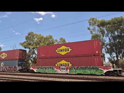 NR56 and NR83 leading 6MP5 