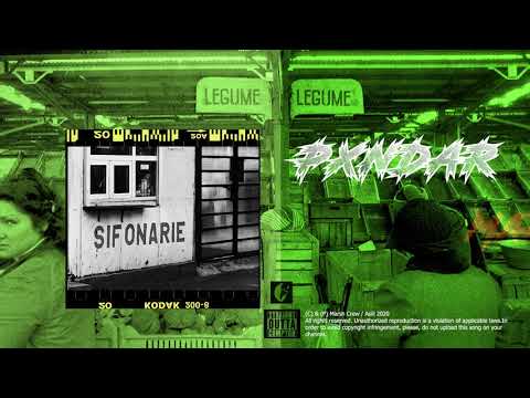 ASILL - PÂNDAR 🕵🏻 (AUDIO)