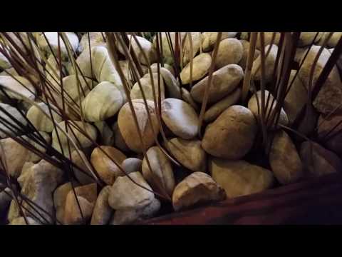 Nice ThyssenKrupp/Dover Impulse Elevator @ Best Western Plus Greensboro